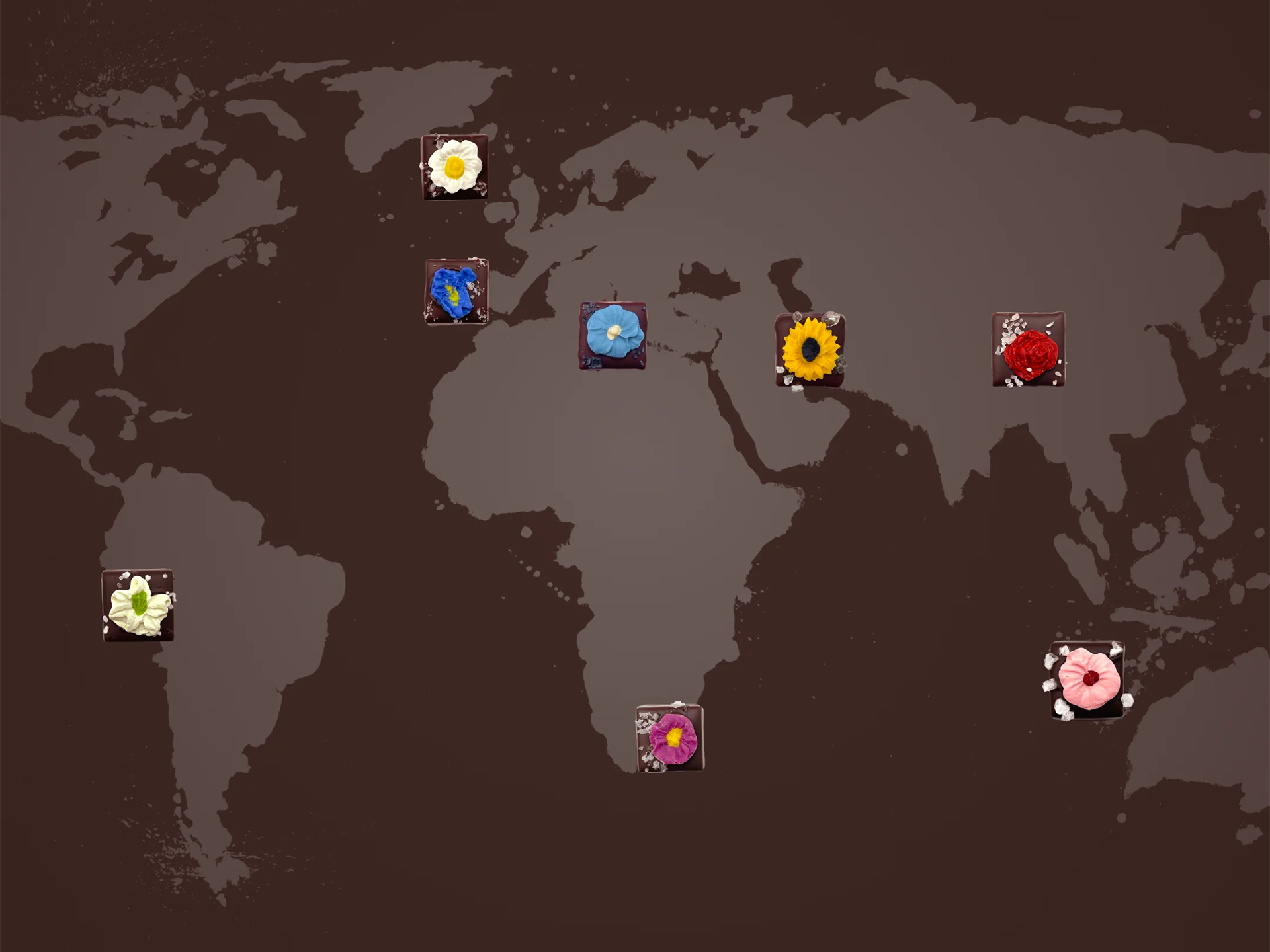 Salts of the World - M. Cacao Chocolates