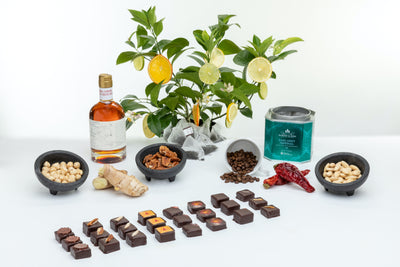 Expressio Refills - M. Cacao Chocolates